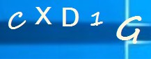 Captcha image