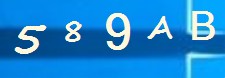 Captcha image