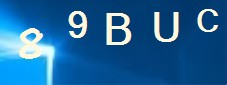 Captcha image